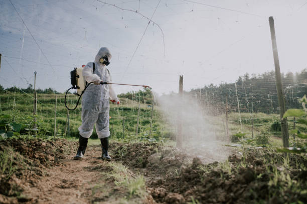 Best Pest Prevention Services  in Sterling, VA