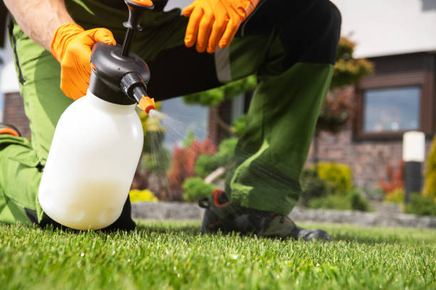 Best Emergency Pest Control  in Sterling, VA