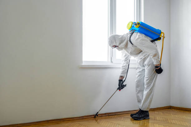 Best Wasp Removal Services  in Sterling, VA