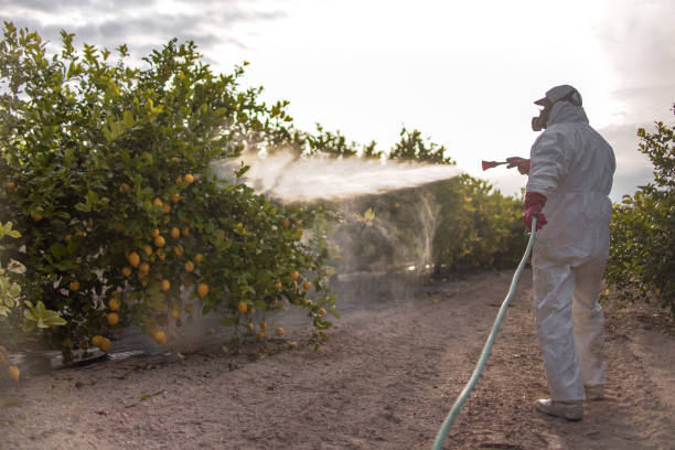 Pest Control for Restaurants in Sterling, VA