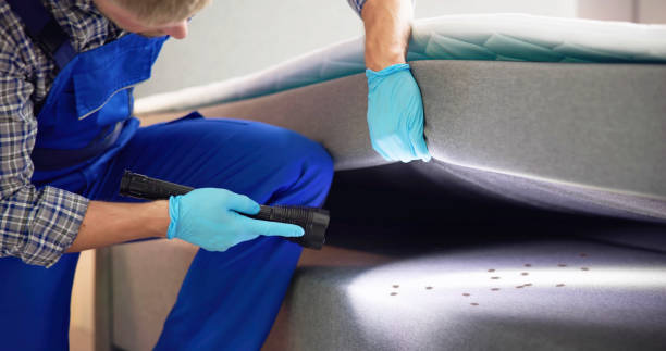 Best Termite Control Services  in Sterling, VA