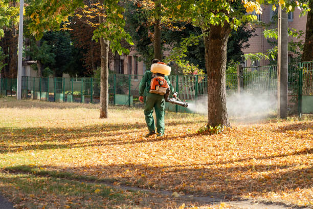 Best Mosquito Control Services  in Sterling, VA