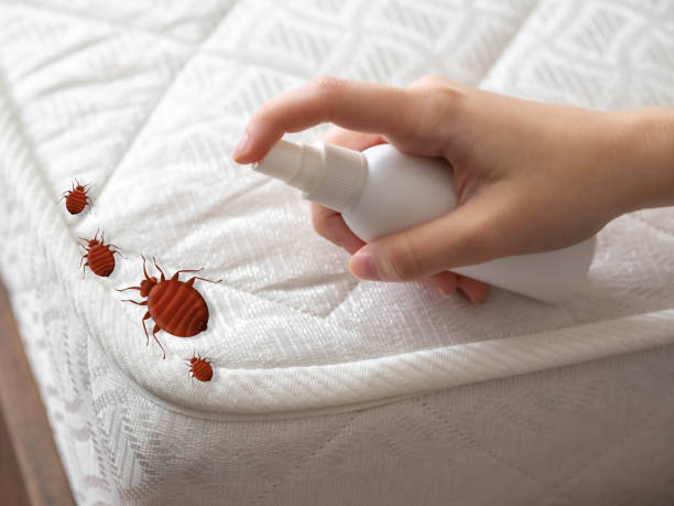 Best Residential Pest Control  in Sterling, VA